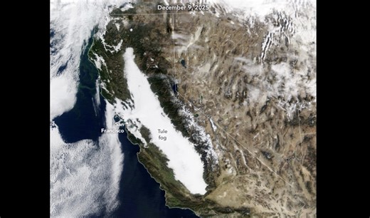 What Is The Tule Fog, And Will It Ever Go Away? | Defector