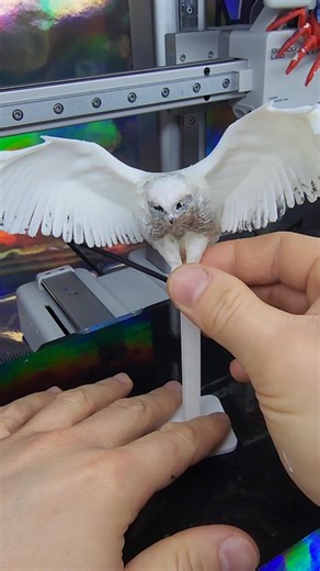 I 3D Printed Hedwig 🦉✨