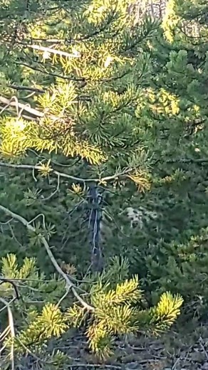 11 reactions | Close but no cigar! ••• We were able to close the...