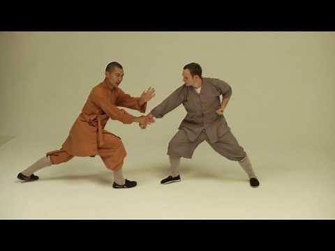 Shaolin Qin Na. Shifu Shi Yan Ti