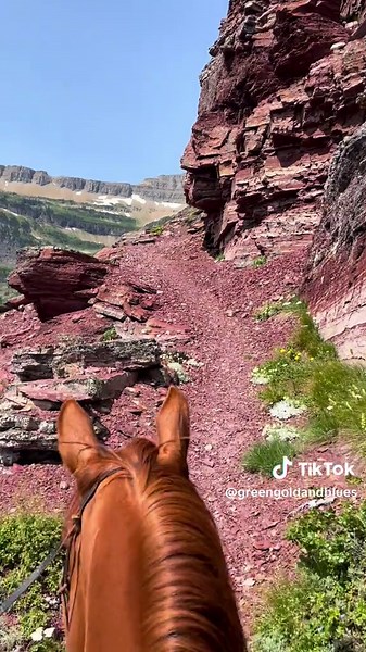 Exploring Montana's Scenic Trails with Horses
