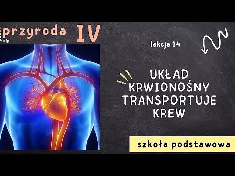 Przyroda klasa 4 [Lekcja 14 - Układ krwionośny transportuje krew]