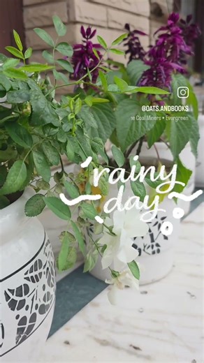 Do you love the cuddle weather too?🌧☂️ #rainyday #spring #vibes