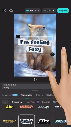 CapCut : How to Add Text