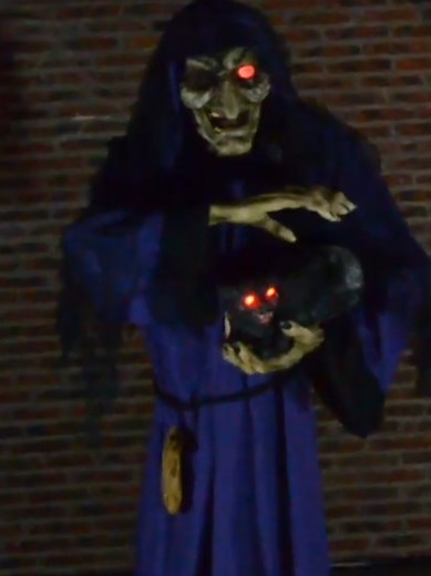 The Enchanting World of Witches and Cats