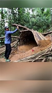 11 reactions | Make a shelter under dry trees to survive alone in the forest #bushcraft #camping #camp #building | Woodland Camping | Facebook