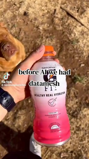 Understanding Data Mesh Before AI Implementation