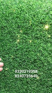 24 reactions · 11 shares | #unic #style | Gold's n ideas | Facebook