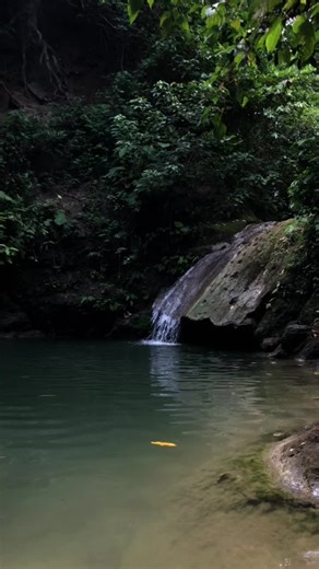 Alex Brooks on TikTok