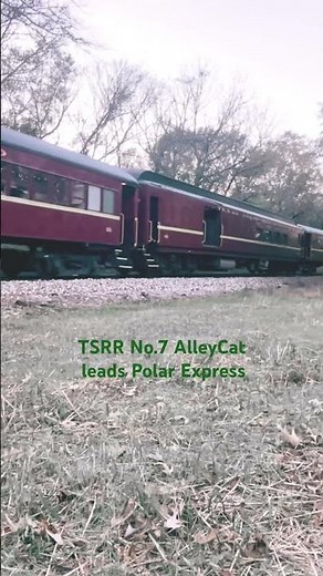 Texas State Railroad No.7 AlleyCat leads Polar Express