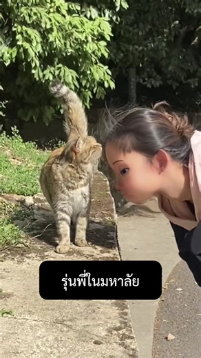 After adopting an older cat, a medical examination revealed...