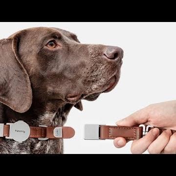 Now on Kickstarter: Fetchly Instant-Lock Leash