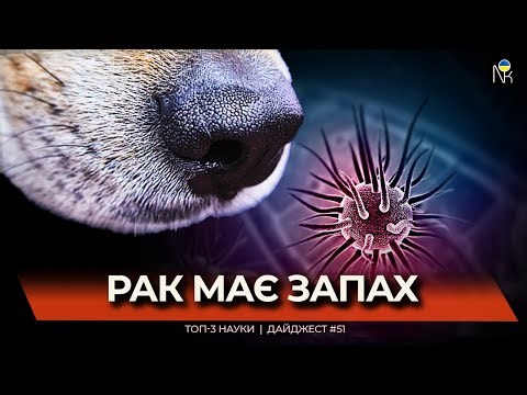 Собаки діагностують рак | ШІ знаходить інфекції за 20 хвилин | Пластик ловить CO₂