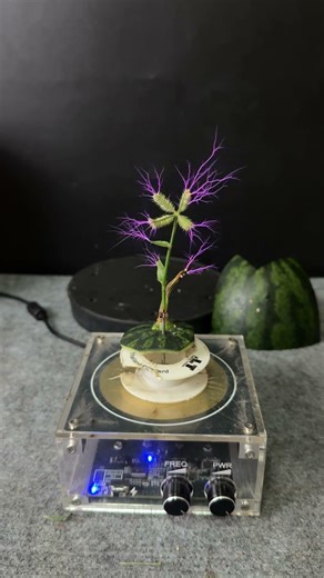 Tesla coil + Watermelon skin + Plant