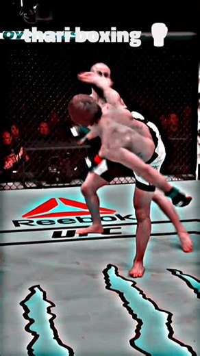 boxing best wrestler#viral #ufc #boxingequipment #shorts