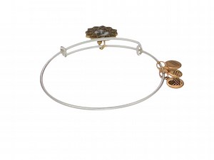 Watch Alex and Ani Women's Taurus Two Tone Bangle Bracelet on Amazon Live