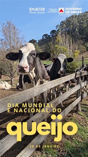 Emater-MG on Instagram: "🗓️📌 O dia 20 de janeiro é uma data sagrada para todo mineiro. Celebramos o Dia Mundial e Nacional do Queijo ofertando a todos o melhor da nossa produção familiar! 🧀🔺Fruto de um trabalho e de um legado transmitido de geração em geração, a diversidade de aromas, texturas e sabores dos queijos mineiros é a prova material do trabalho de milhares de produtores que transformam o leite em identidade, renda e cultura. Hoje, são 12,5 mil empreendimentos individuais e 8,8 mil 