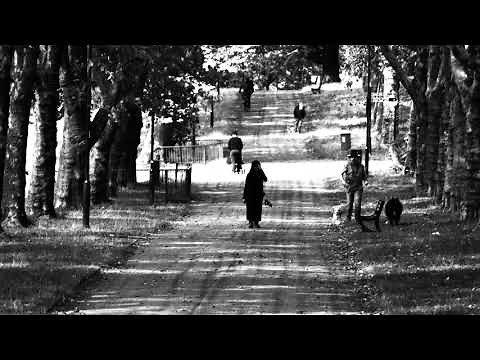 RED BOX - WHY SO FEW (OFFICIAL VIDEO 2019)