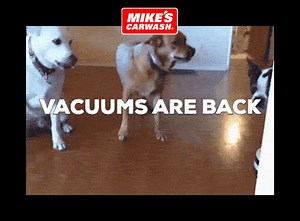 13 reactions | Our Vacuums are now open at all locations. Plus, where available, wash bays are also open. | Mike's Carwash | Facebook