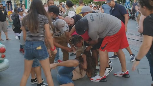 Disneyland fight under police investigation