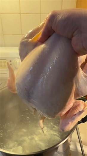 Homemade Bone Broth Chicken Noodle Soup with Egg Noodles 🍜 #homemade #bonebroth #chicken #noodle #soup | View Pittsburgh