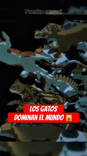 🔥Un mundo donde los gatos nos dominan🌎😱 #anime #otaku #cosplay #animeedit #shortvideo #manga