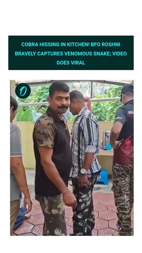 Cobra Hissing in Kitchen! BFO Roshni Bravely Captures Venomous Snake; Video Goes Viral In Sreekrishnapuram, Thiruvananthapuram, a family was thrown into panic when they found a king cobra sitting in their kitchen. Upon receiving the alert, BFO Roshni rushed to the scene. With courage and utmost care, she successfully carried out this dangerous rescue operation, ensuring the snake was safely captured. #CobraRescue #BFO #OneIndia | Oneindia News