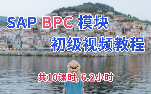 SAP BCP模块初级视频教程 BPC10.0计划与合并模块视频课程