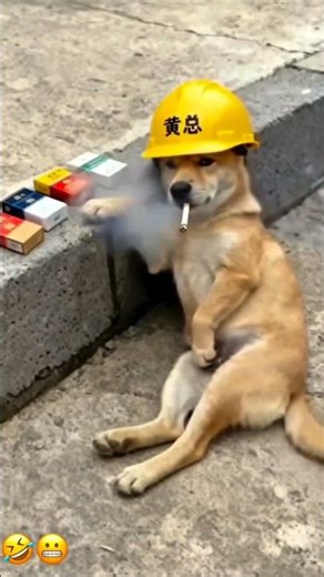 Dog Smoking: The Most Disturbing Thing You'll See All Day