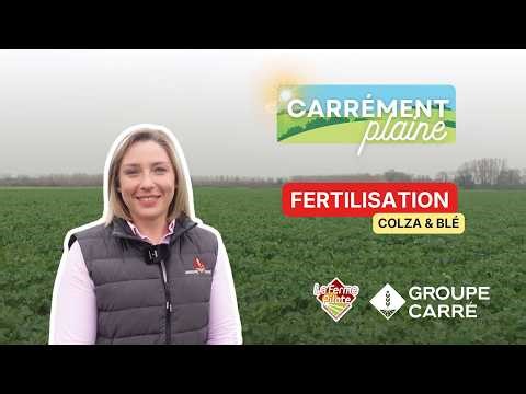 CARREMENT PLAINE: Fertilization of rapeseed and wheat