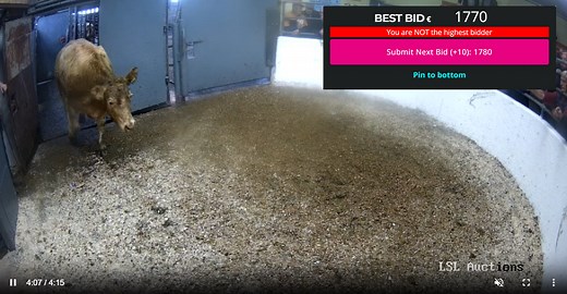 LSL Auctions: 'No charge for mart-specific farmer customers'