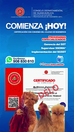 ¡Super Oferta en Programas Especializados!