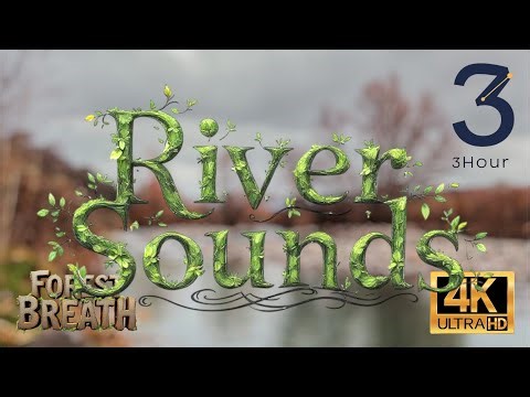 Relaxing River Sounds in Forest 🍃 3 Hours Nature Ambience (No Music)