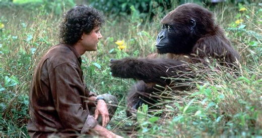 Congo (1995) – WTF Happened to This Adaptation?