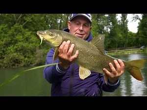 The Giants of Mincio Act II - Fresh Water Mania - Episode 11 - Bolognese (Colmic)