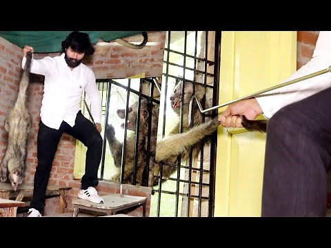 जब इस स्कूल में एक साथ नर मादा जानवर (मुर्दाखोर) को कैसे रेस्क्यू किया! 😱 Animal Rescue operation