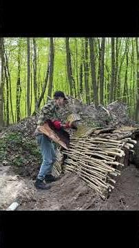 Hidden Shelter Beneath a Fallen Tree 🌲 Primitive Bushcraft Dugout in the Wild Forest