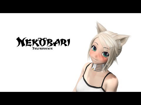 Metall-Halskorsett Review/Testbericht