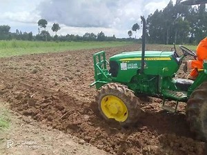 Planning for Silage for this year | K-F Agro Tech And Agro Service | Facebook