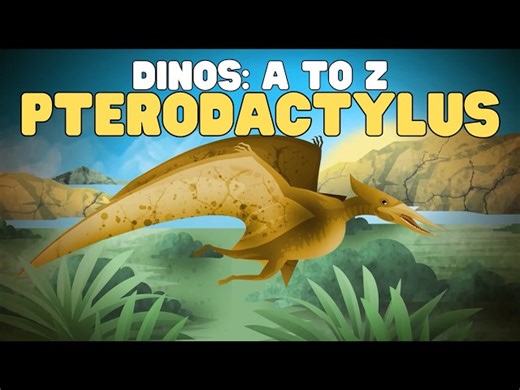 Dinos A to Z: Pterodactylus | Learn about this iconic pterodactyl - Videos For Kids