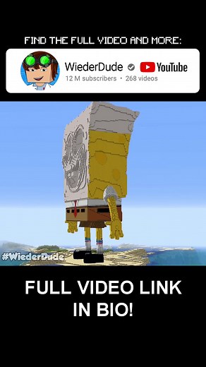 Wiederdude a TikTokon