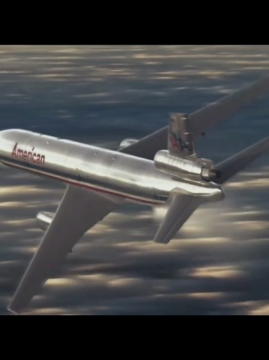 American Airlines Flight 96: A Look at the Disaster