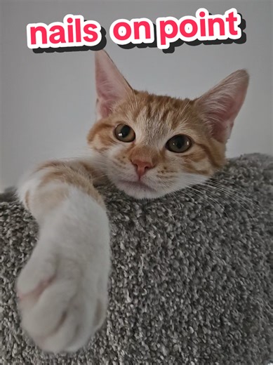 Nails on Point: Stunning Nail Designs You’ll Love