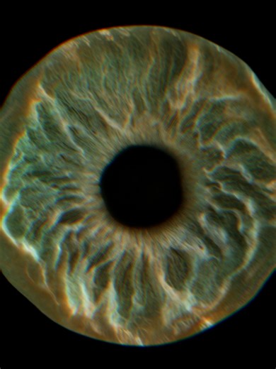 How to Break the NPC Pattern. #npc #awareness #autopilot #consciousness #selfimprovement #redpill #psychology #masculinity #fyp