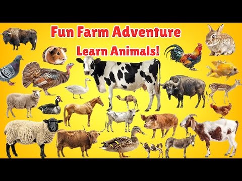 Fun Farm Adventure 🐄 | Learn Farm Animals for Kids
