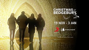 VIDEO PREVIEW: Christmas At Bedgebury 2021 dazzling trail surprises revealed - read more at https://trib.al/24V0fdb BUY TICKETS: Visit https://trib.al/GNi6Zxd | Hastings Observer