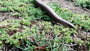 1.2K views · 47 reactions | It was great to see this wonderful...