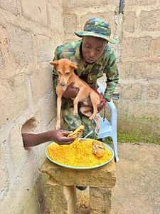 The army chicken | Ibom boy tv