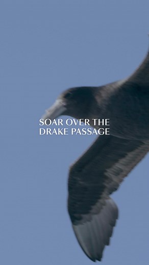 Skip The Drake Passage and fly directly to Antarctica. Uncover its wonders and embrace the joy of untouched beauty. | Silversea