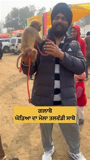 Instagram video by Santokh Singh • Feb 1, 2026 at 1:06 AM